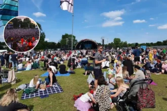 Brockwell Park events legal challenge Lambeth 2026