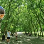 Crystal Palace Dinosaur Playground Opens 2026