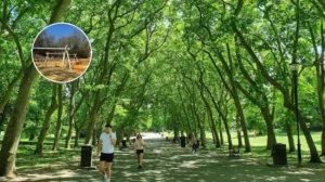 Crystal Palace Dinosaur Playground Opens 2026