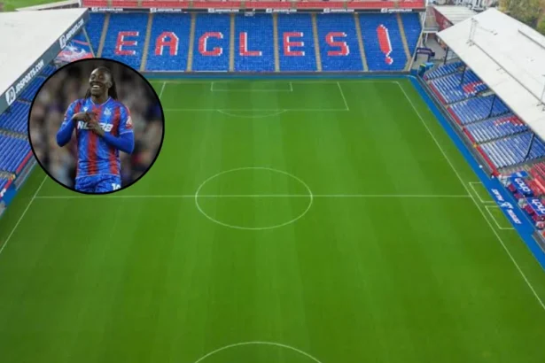 Crystal Palace Eye £40m Wolves Star as Next Eze (Selhurst Park, 2026)