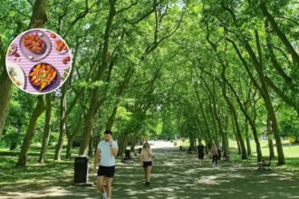 Crystal Palace maze and food scene rise in 2026