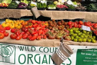 A New Farmers Market Is Coming to Peckham This May 