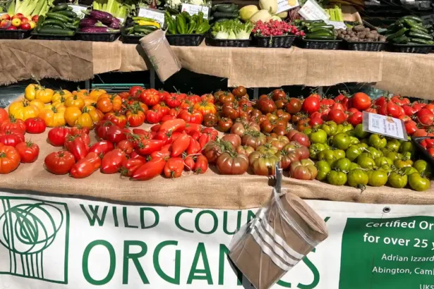 A New Farmers Market Is Coming to Peckham This May 