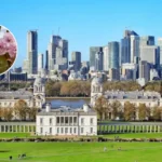 Greenwich Park's 130 New Cherry Blossom Trees from Japan; Greenwich 2026