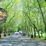 HTA Design's Dinosaur Playground Opens Crystal Palace Park 2026