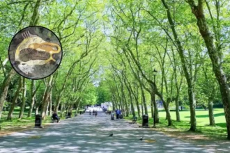 HTA Design's Dinosaur Playground Opens Crystal Palace Park 2026