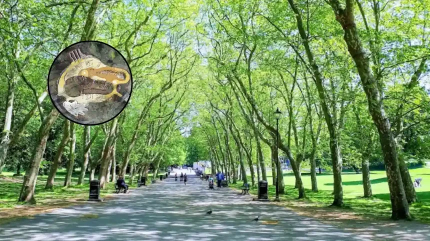 HTA Design's Dinosaur Playground Opens Crystal Palace Park 2026