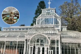 Horniman Museum Forest Hill New Garden Attractions 2026