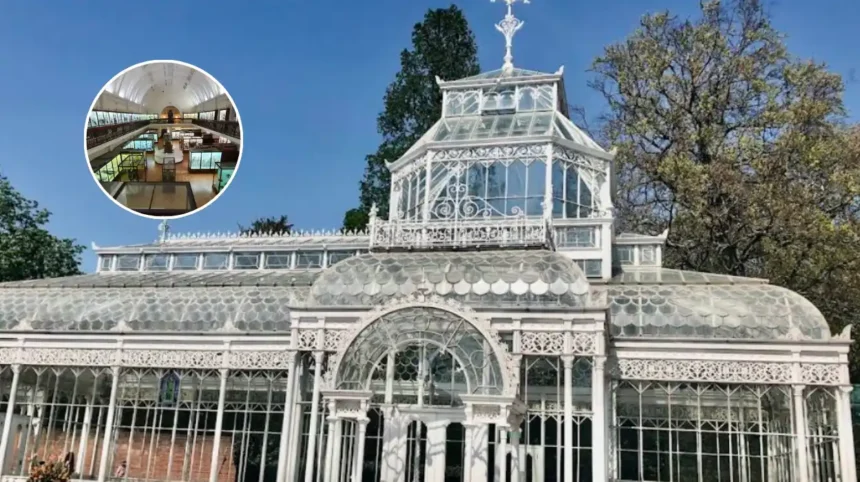 Horniman Museum Forest Hill New Garden Attractions 2026