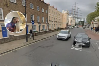 Lady Dinah's Cat Emporium Reopens in Greenwich, 2026