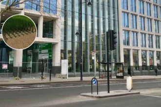 Lambeth's Hybrid Turf in Brockwell Park for 2027 Festivals 2026