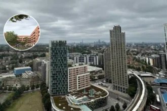 Lewisham: 8 Illegal Homes Demolished, Families Homeless 2026