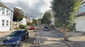 Overgrown Croydon House Upsets Neighbours, Spiders Thrive 2026