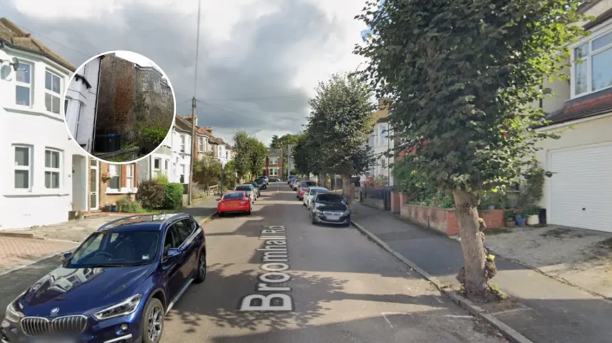 Overgrown Croydon House Upsets Neighbours, Spiders Thrive 2026