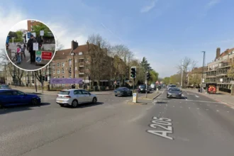 South Circular roadworks and delays in Dulwich in 2026