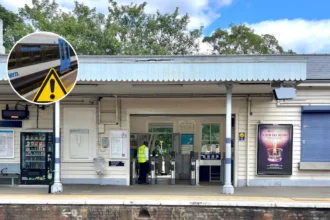 Southeastern Trains Cancelled Bromley Lewisham Engineering 2026