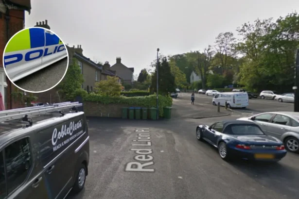 Woman 80s Stabbed Dead Plumstead, Man 60s Arrested 2026