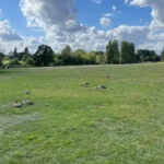 Best Parks, Cafes and Historic Places to Explore in Bexley