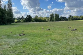 Best Parks, Cafes and Historic Places to Explore in Bexley