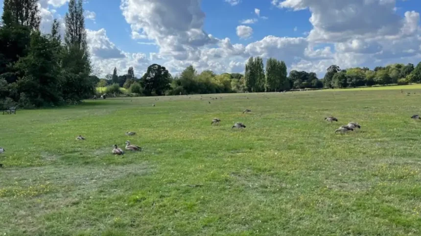 Best Parks, Cafes and Historic Places to Explore in Bexley
