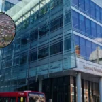 Croydon Council Housing Failures Force Family Into Car: Croydon 2026