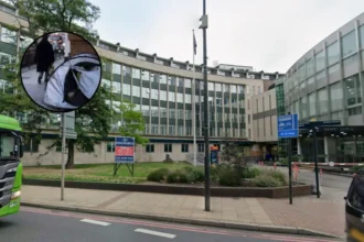 Families face homelessness over illegal Kanli Mews homes, Lewisham 2026