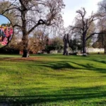 First Runner Completes 1,000 Parkruns – South London, 2026