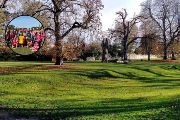 First Runner Completes 1,000 Parkruns – South London, 2026