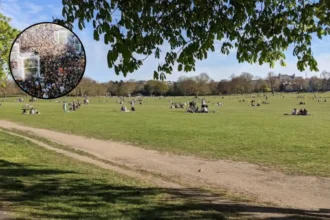 GALA Festival 2026 Lineup and Guide: Peckham Rye Park 2026