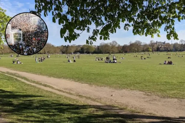 GALA Festival 2026 Lineup and Guide: Peckham Rye Park 2026