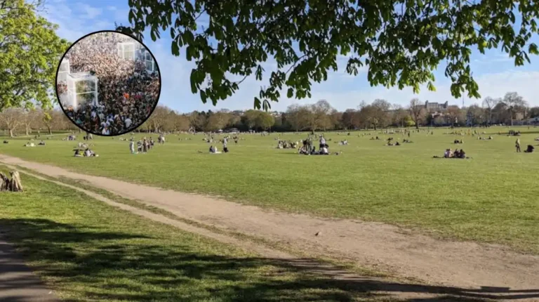GALA Festival 2026 Lineup and Guide: Peckham Rye Park 2026