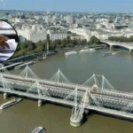 Greens Lead Lambeth Election Count 2026 | Lambeth 2026
