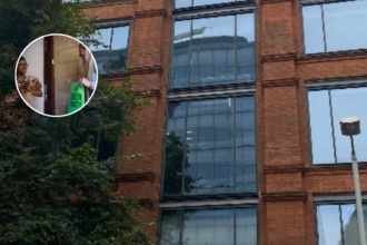 Greens Surge as Southwark Council Faces No Overall Control 2026