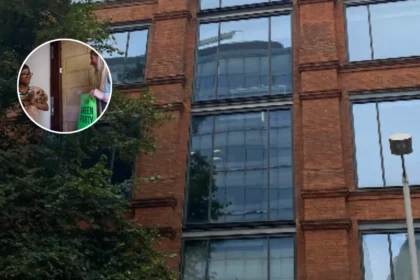 Greens Surge as Southwark Council Faces No Overall Control 2026