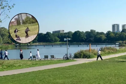 Hero Stops Machete Fight in Burgess Park, London 2026