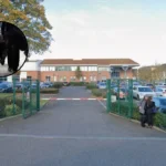 Ofsted flags Welling School issues on attendance and GCSEs | Bexley 2026