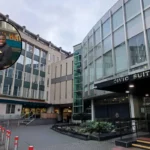 TikTok Campaigner Kayode Damali Bids for Lewisham Mayor; Lewisham 2026