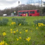 Wandsworth Council Climate Action: Progress and Gaps London