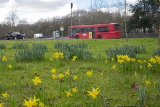 Wandsworth Council Climate Action: Progress and Gaps London