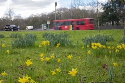 Wandsworth Council Climate Action: Progress and Gaps London