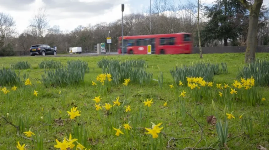 Wandsworth Council Climate Action: Progress and Gaps London