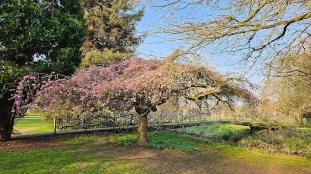 What are the must-visit parks in Bexley?