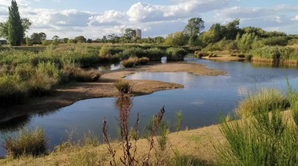 What is Bexley for first-time visitors?