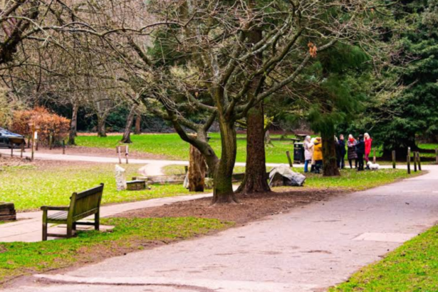 What Are Bromley's Most Beautiful Parks and Gardens for Tourists?