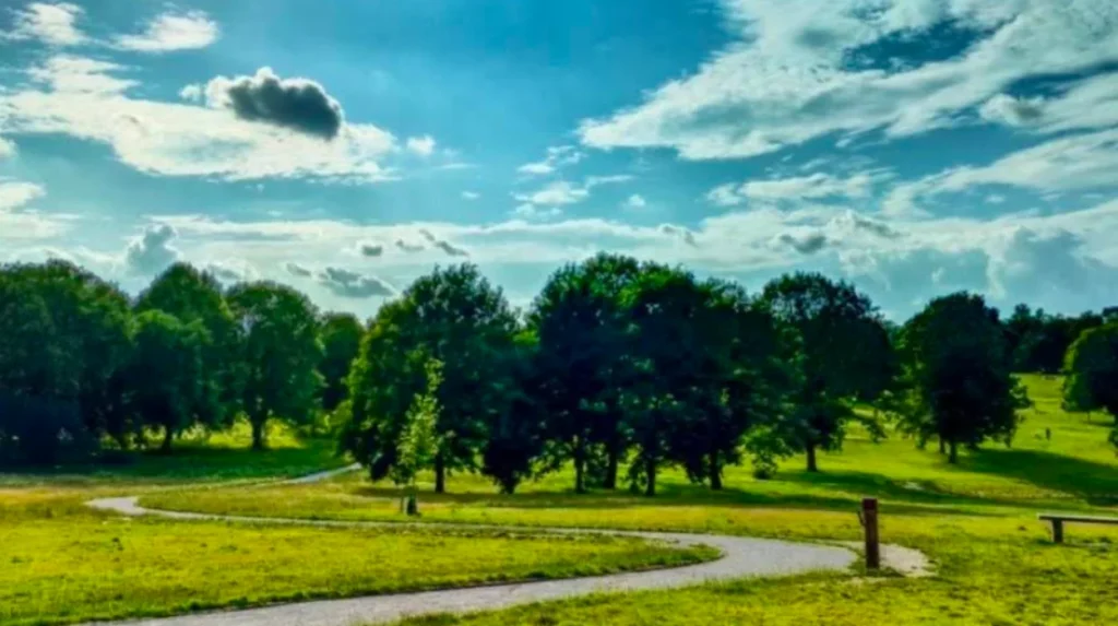 Are These Parks Suitable for Families and Accessibility Needs?