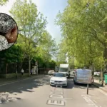Banook Bagels Opens in South London 2026