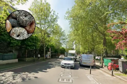 Banook Bagels Opens in South London 2026