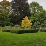 Best Parks and Green Spaces to Explore in Bromley for Visitors