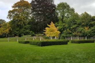 Best Parks and Green Spaces to Explore in Bromley for Visitors