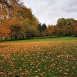 Best Parks and Green Spaces to Explore in Lewisham London